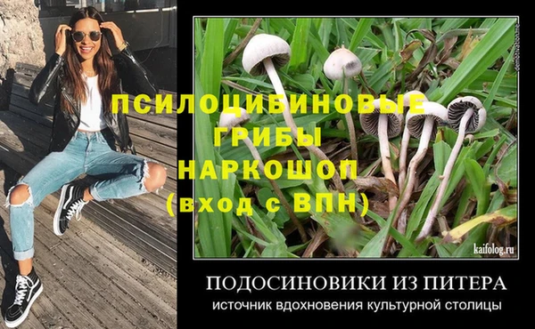 кокаин Белокуриха