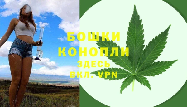 гашик Гвардейск
