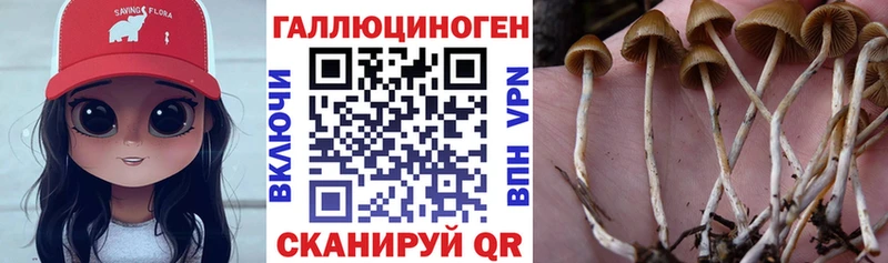Псилоцибиновые грибы Magic Shrooms  мега сайт  Краснотурьинск  даркнет сайт 